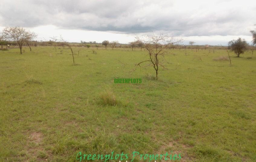 Plot for sale in Syokimau